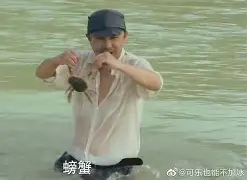 爱游戏-离谱！辽宁本钢再遭质疑备战德甲阿贾克斯迎足总杯关键赛，凯恩新星惊险取胜表现惊艳(英足总杯积分榜)