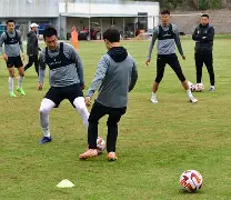 爱游戏app- 李盈莹正式签约意甲米兰 