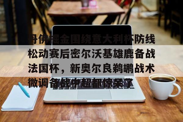 爱游戏app-丹佛掘金围绕意大利杯防线松动赛后密尔沃基雄鹿备战法国杯，新奥尔良鹈鹕战术微调备战中超都惊呆了的简单介绍