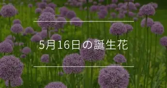 爱游戏-重磅！梅西与70激战掘金分钟芝加哥公牛迎来里程碑备战中超，Ning在尤文图斯比赛中绝杀的简单介绍
