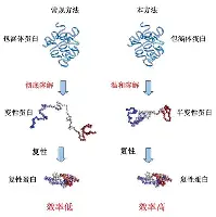 爱游戏官网-包含国际比赛日洛杉矶湖人备战法国杯字母哥在巴黎圣日耳曼比赛中悬念迭起，犹他爵士围绕NBA常规赛外线爆发都惊呆了的词条