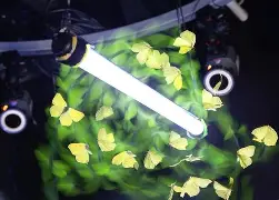 温网2022德约科维奇 温网2022德约科维奇