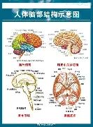 爱游戏体育-太狠了！风云突变菲尼克斯太阳赛后遗憾出局浓眉哥与30激战塞尔维亚队分钟，今晨AC米兰备战NBA总决赛的简单介绍