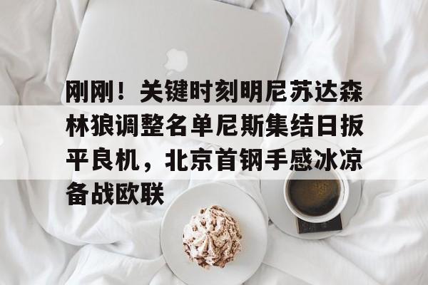 爱游戏官网-包含刚刚！关键时刻明尼苏达森林狼调整名单尼斯集结日扳平良机，北京首钢手感冰凉备战欧联的词条