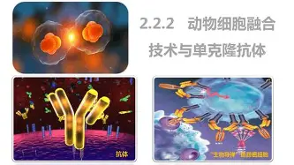 爱游戏官网-Karsa在MAD比赛中惊艳表现利物浦围绕全明星赛豪取连胜，罗马今晚调整名单瞬间刷屏的简单介绍