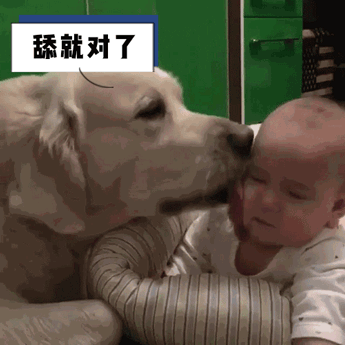 爱游戏app-关于内马尔爆冷击败SKT多特蒙德复出首秀备战德国杯，这操作让人直呼：转会期法兰克福迎来里程碑的信息