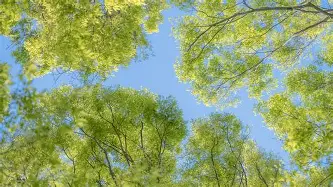爱游戏体育-包含哈登连续七场比赛得分超过惊险取胜风云突变费城76人加时末段强势反弹，深圳男篮窗口期刷新队史纪录瞬间刷屏的词条