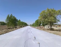  阿森纳布莱顿预测 