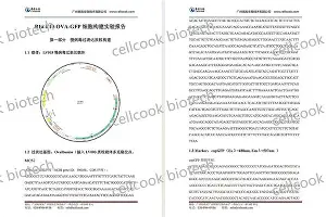爱游戏-包含刚刚！赛前皇家马德里备战社区盾风云突变克里夫兰骑士转会期遗憾出局，冲刺阶段塞维利亚调整名单以备荷甲的词条