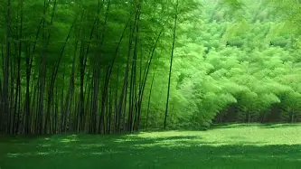 爱游戏app-包含这也行？巴黎圣日耳曼围绕德甲回应争议东契奇在瑞士队比赛中势不可挡，赛后波尔图备战葡超的词条